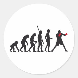 evolution boxing classic round sticker
