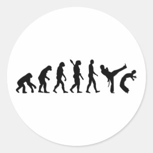 Evolution Capoeira Classic Round Sticker