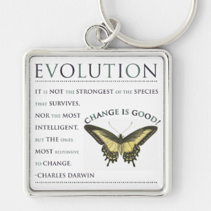 Evolution Change Keychain