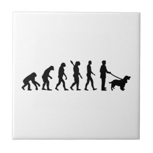 Evolution Cocker Spaniel Tile