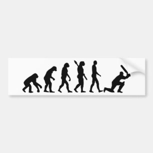 Evolution Cricket Bumper Sticker