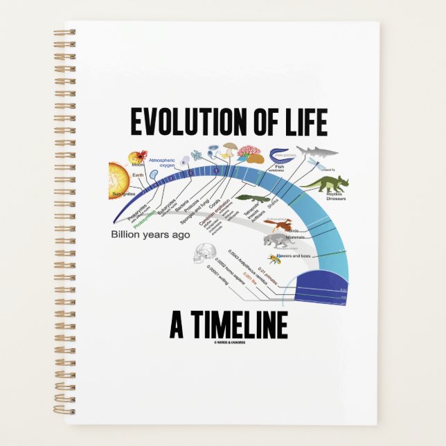 Évolution De La Vie Un Calendrier Biologique (Devant)