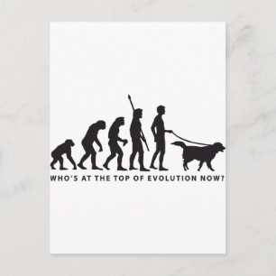 evolution dog postcard