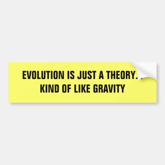 EVOLUTION IS JUST A THEORY... KIND OF LIKE GRAVITY BUMPER STICKER (Front)