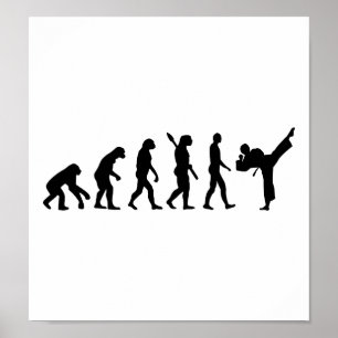 Evolution Karate kickboxing Poster
