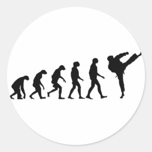 Evolution of Karate Classic Round Sticker
