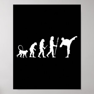 Evolution Of Karate  Poster