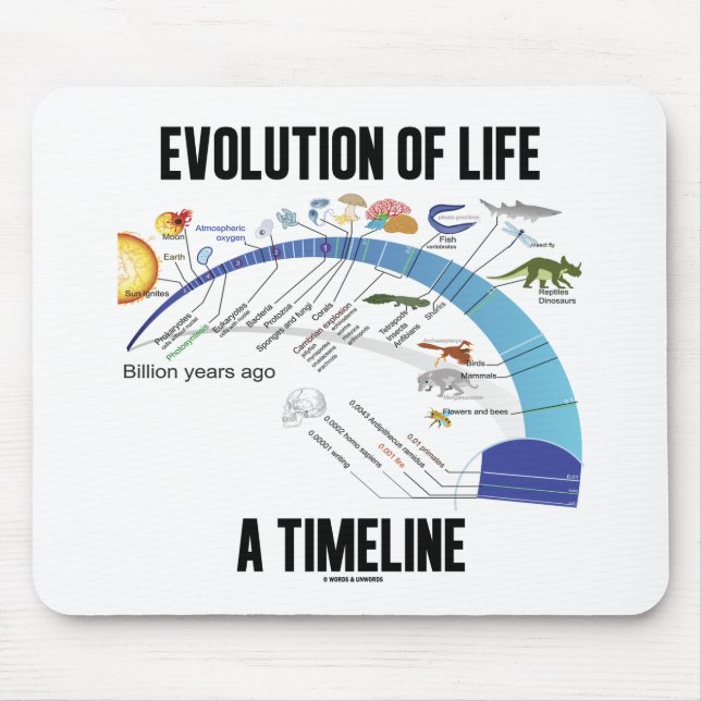 Evolution Of Life A Timeline (Biology) Mouse Pad (Front)