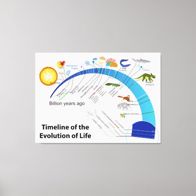 Evolution of Life on Earth Timeline Diagram Canvas Print (Front)