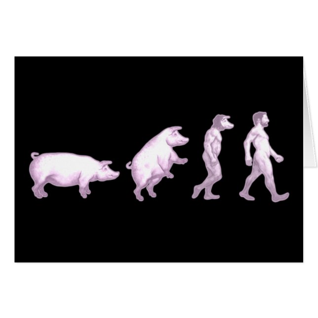 Evolution of pigs (Front Horizontal)