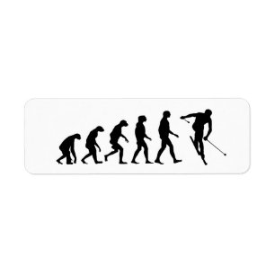 Evolution of Ski