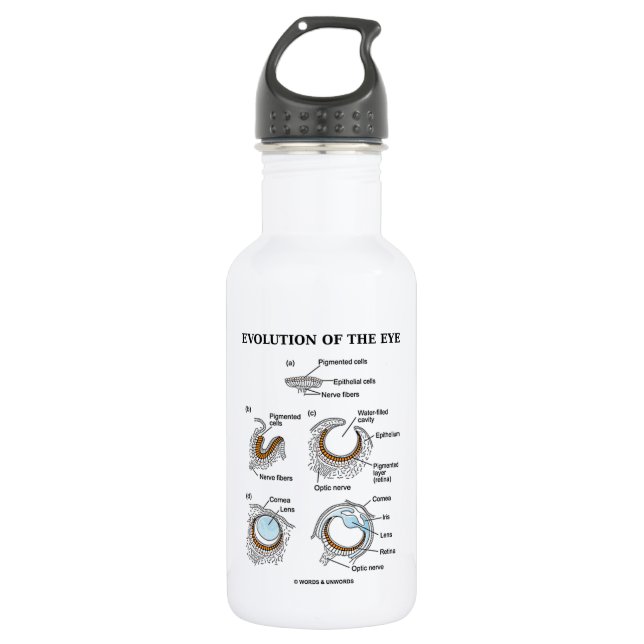 Evolution Of The Eye 532 Ml Water Bottle (Front)
