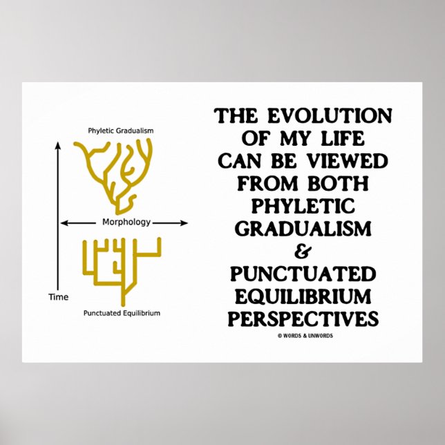 Evolution Phyletic Gradualism Punctuated Equilibrm Poster (Front)