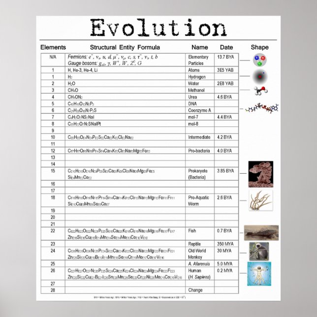 Evolution Poster (Front)