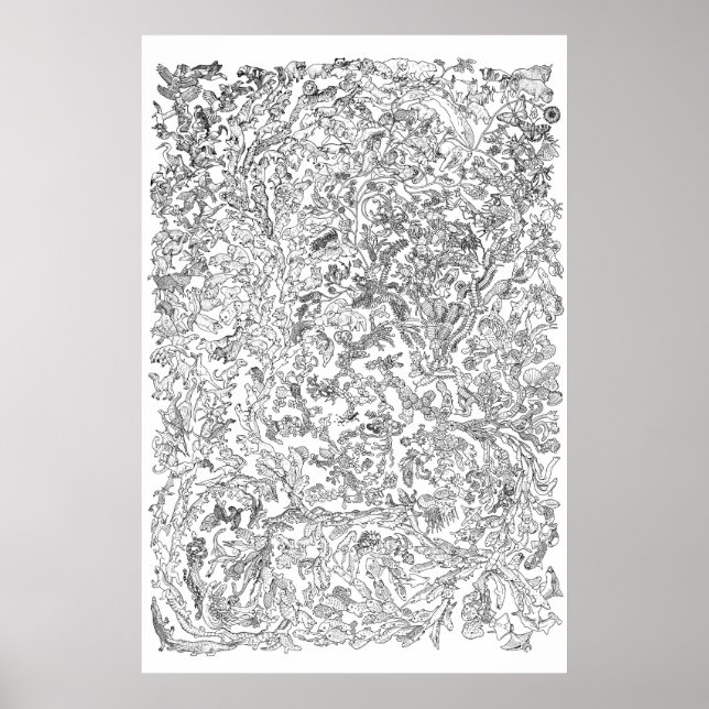Evolution Poster - Tree of Life - Black and White (Front)