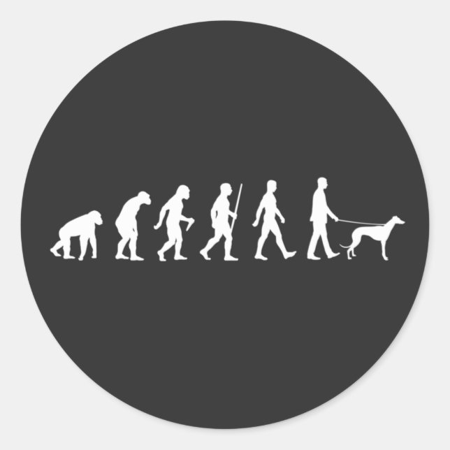 Evolution to Greyhound Owner Classic Round Sticker (Front)