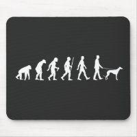 Evolution to Greyhound Owner