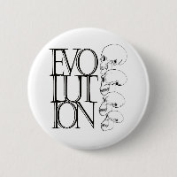 Evolution (White)