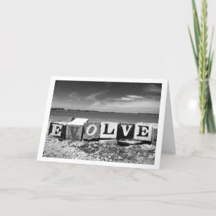 "Evolve" Put-n-Bay Photo Greeting Card