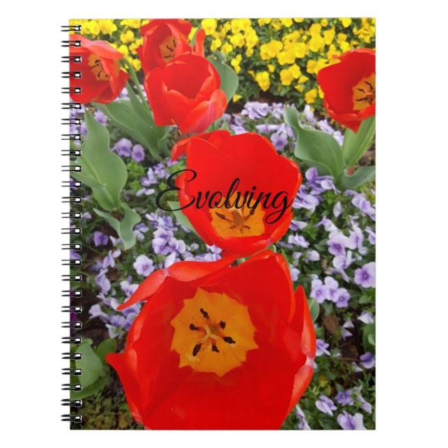 Evolving Red Tulips Spiral Notebook (Front)