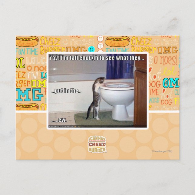 ew postcard (Front)