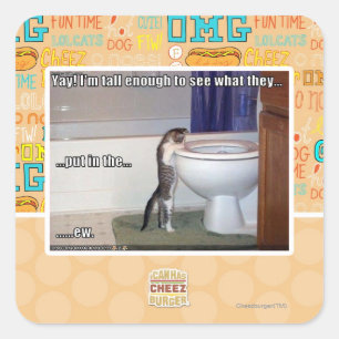 ew square sticker