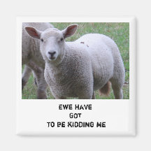 Ewe have got to be kidding me