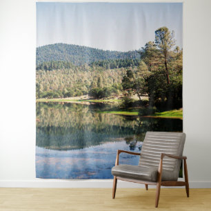 Ewing Reservoir.... Tapestry