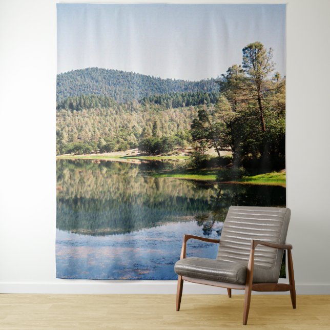 Ewing Reservoir.... Tapestry (In Situ)