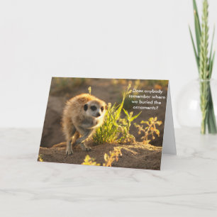 Ewoks Ornaments - Seasons Greetings Card