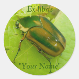 Ex libris Green June Stickers Beetle