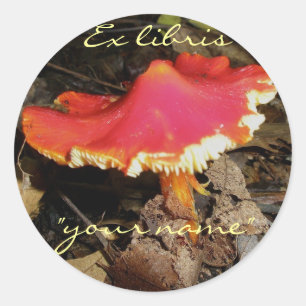 Ex Libris Red Mushroom Stickers to Customize