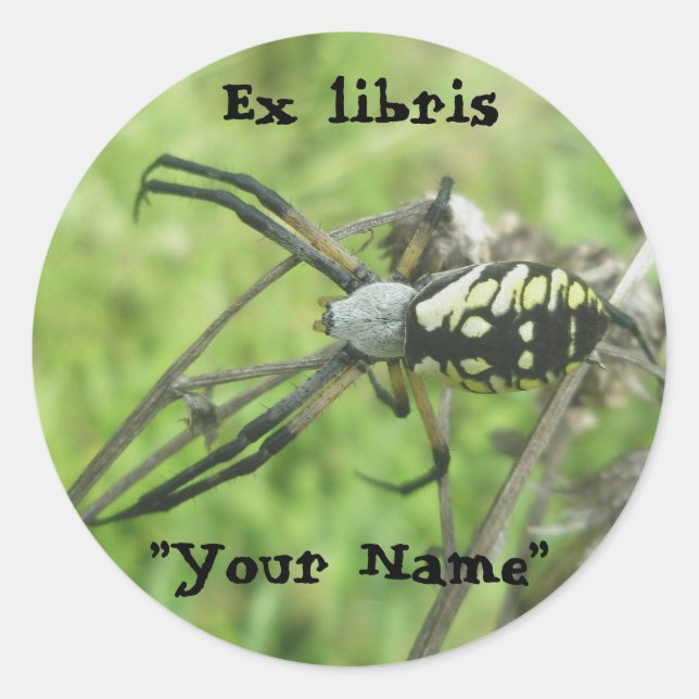 Ex libris Stickers Argiope aurantia (Devant)