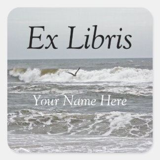 Ex Libris - Surf and Gull Sticker