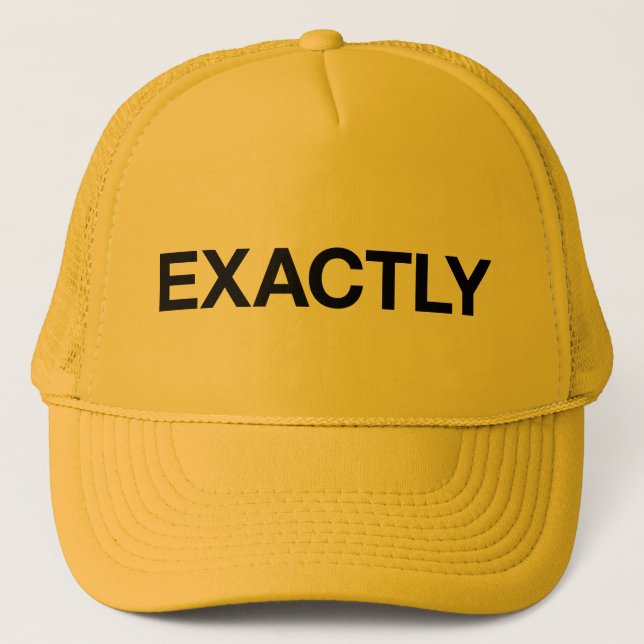 EXACTLY fun slogan trucker hat (Front)