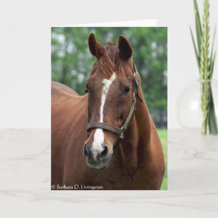 Exactly So Portrait Card