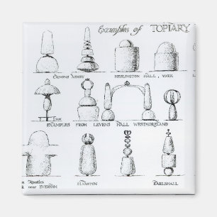 Examples of Topiary Work, 1902 (engraving) (b/w ph Magnet