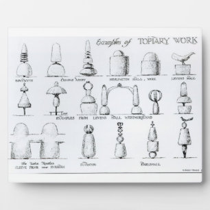 Examples of Topiary Work, 1902 (engraving) (b/w ph Plaque
