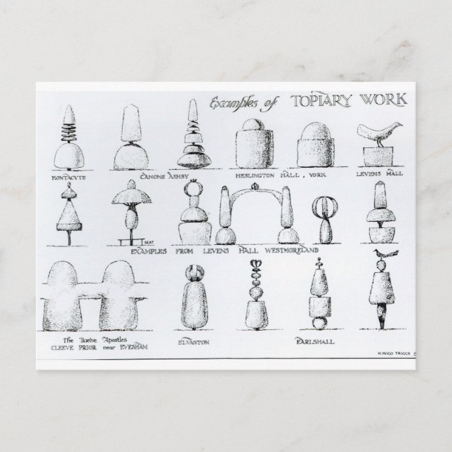 Examples of Topiary Work, 1902 (engraving) (b/w ph Postcard (Front)