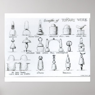 Examples of Topiary Work, 1902 (engraving) (b/w ph Poster