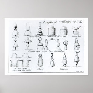 Examples of Topiary Work, 1902 (engraving) (b/w ph Poster