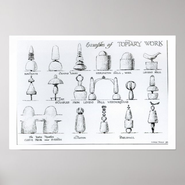 Examples of Topiary Work, 1902 (engraving) (b/w ph Poster (Front)