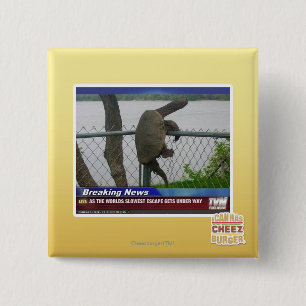 Excaping Turtle 2 Inch Square Button
