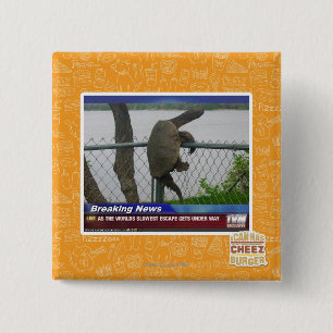 Excaping Turtle 2 Inch Square Button