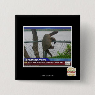 Excaping Turtle 2 Inch Square Button