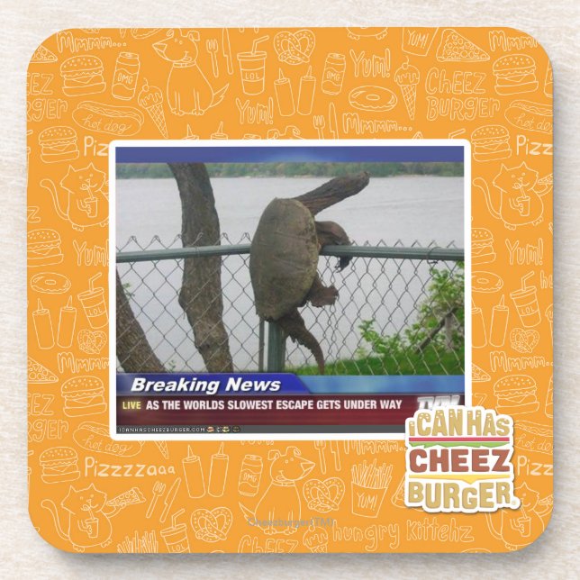 Excaping Turtle Coaster (Front)