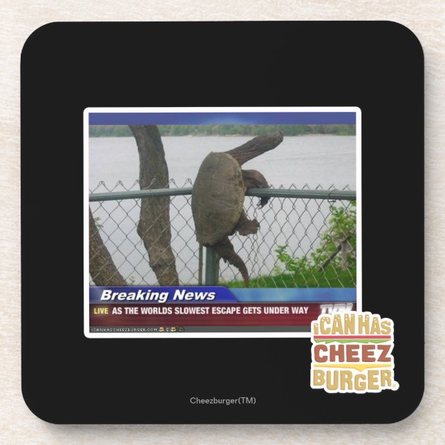 Excaping Turtle Coaster (Front)