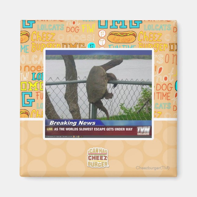 Excaping Turtle Magnet (Front)