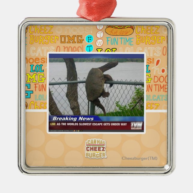 Excaping Turtle Metal Ornament (Front)