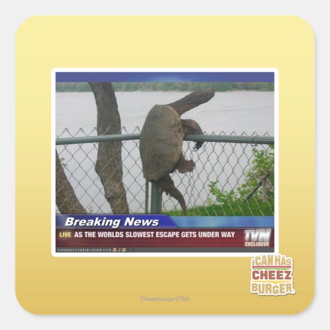 Excaping Turtle Square Sticker (Front)